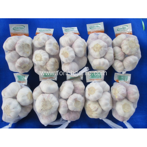 Top Quality Cold Storage Normal Garlic